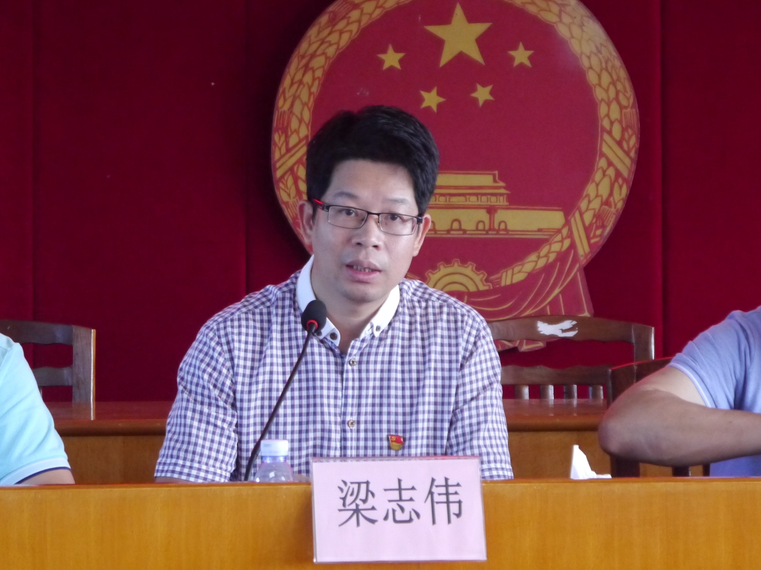 镇党委副书记、镇长梁志伟发表讲话.jpg