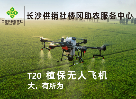 微信图片_20200916085642_看图王2.png