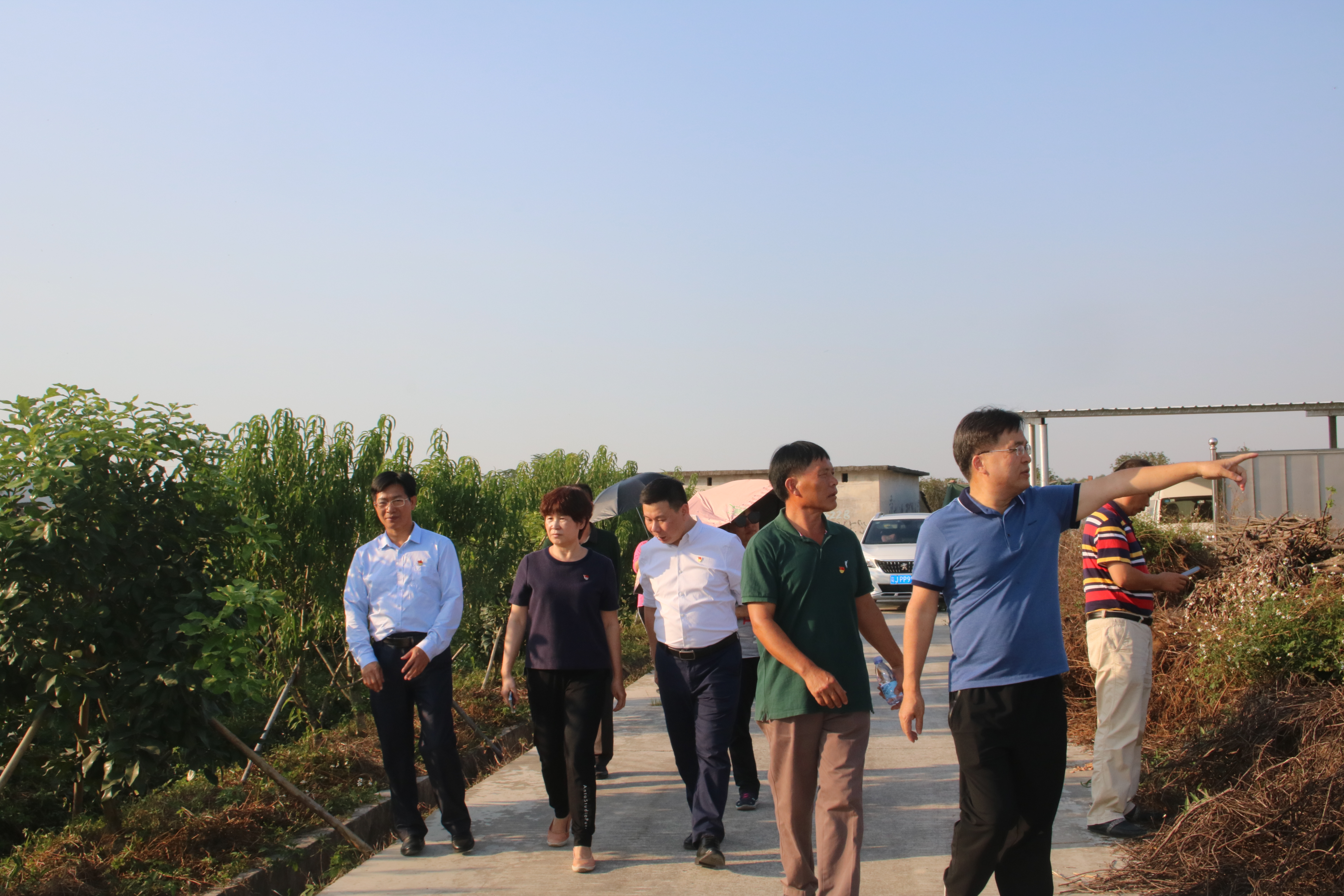 视察红岭村贵妃柑扶贫种植基地.JPG