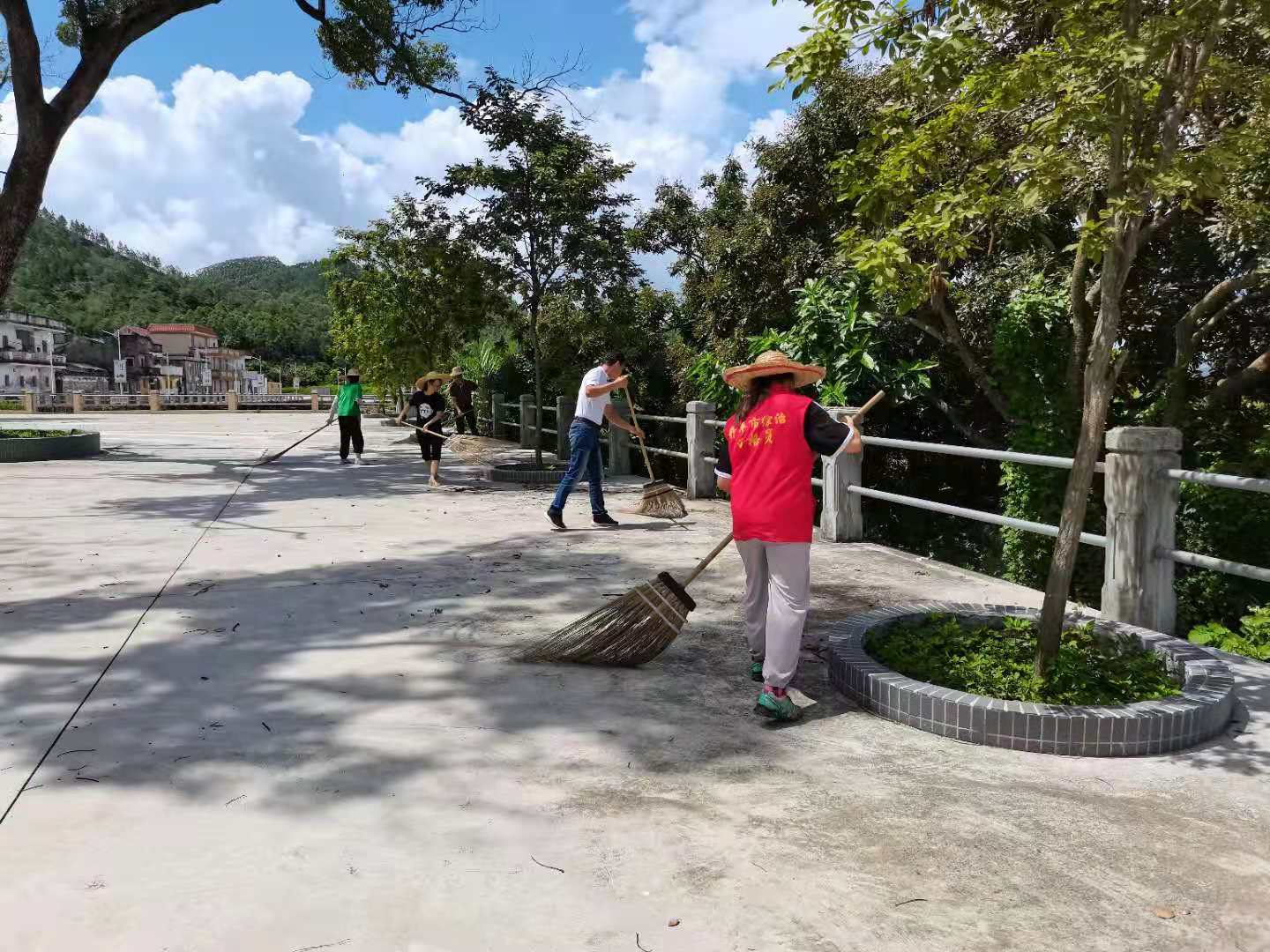马降龙.jpg