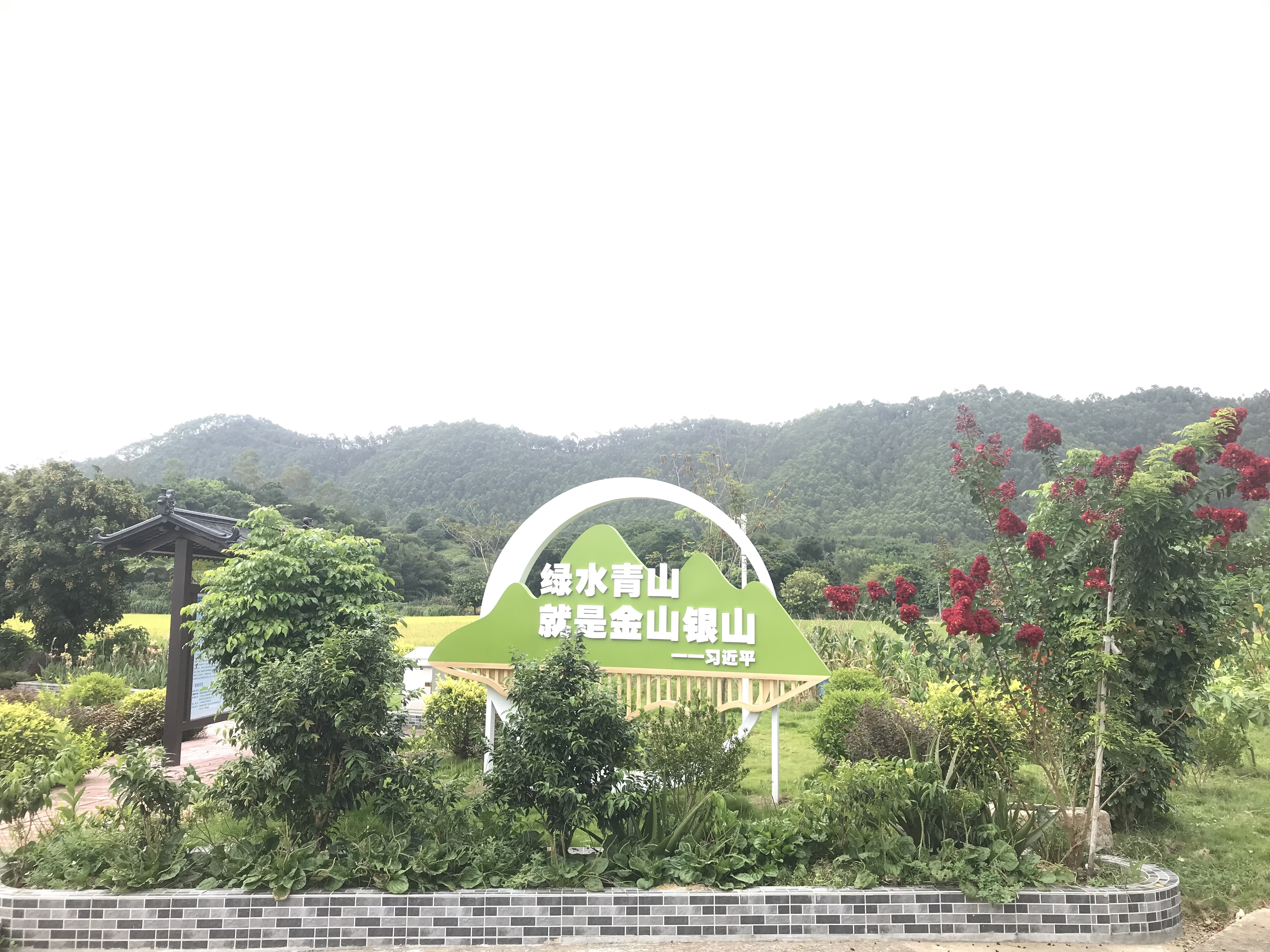 3.东阳村四小园1.jpg