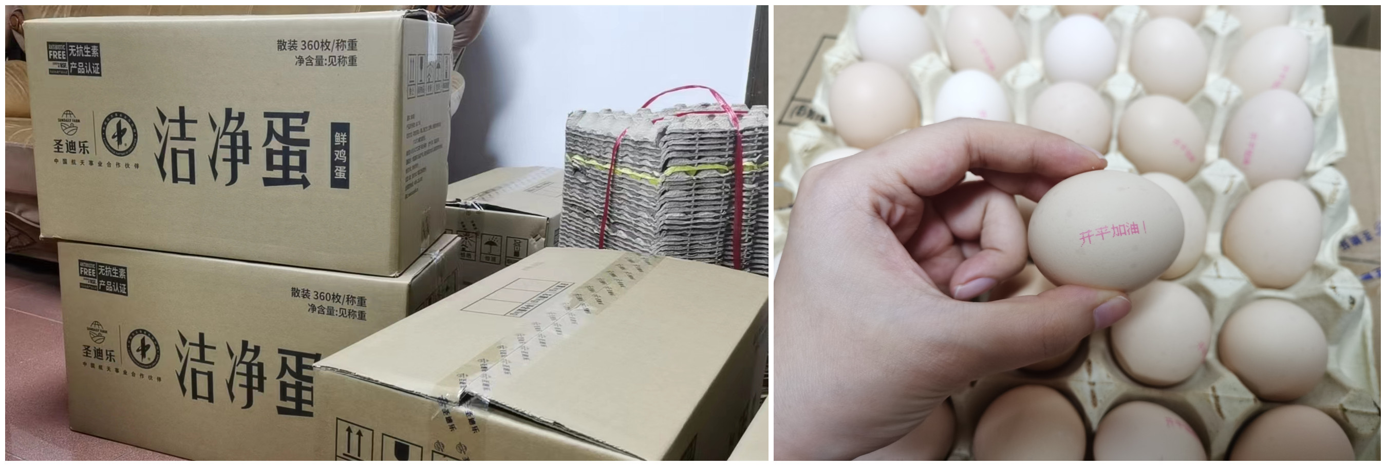 广东圣迪乐村生态食品公司捐赠高品质鲜鸡蛋1800枚_副本.jpg