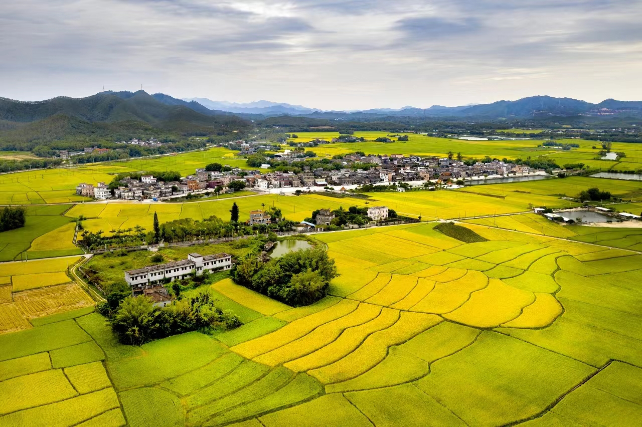 1.开平市赤水镇沙洲村村容村貌全景图.jpg