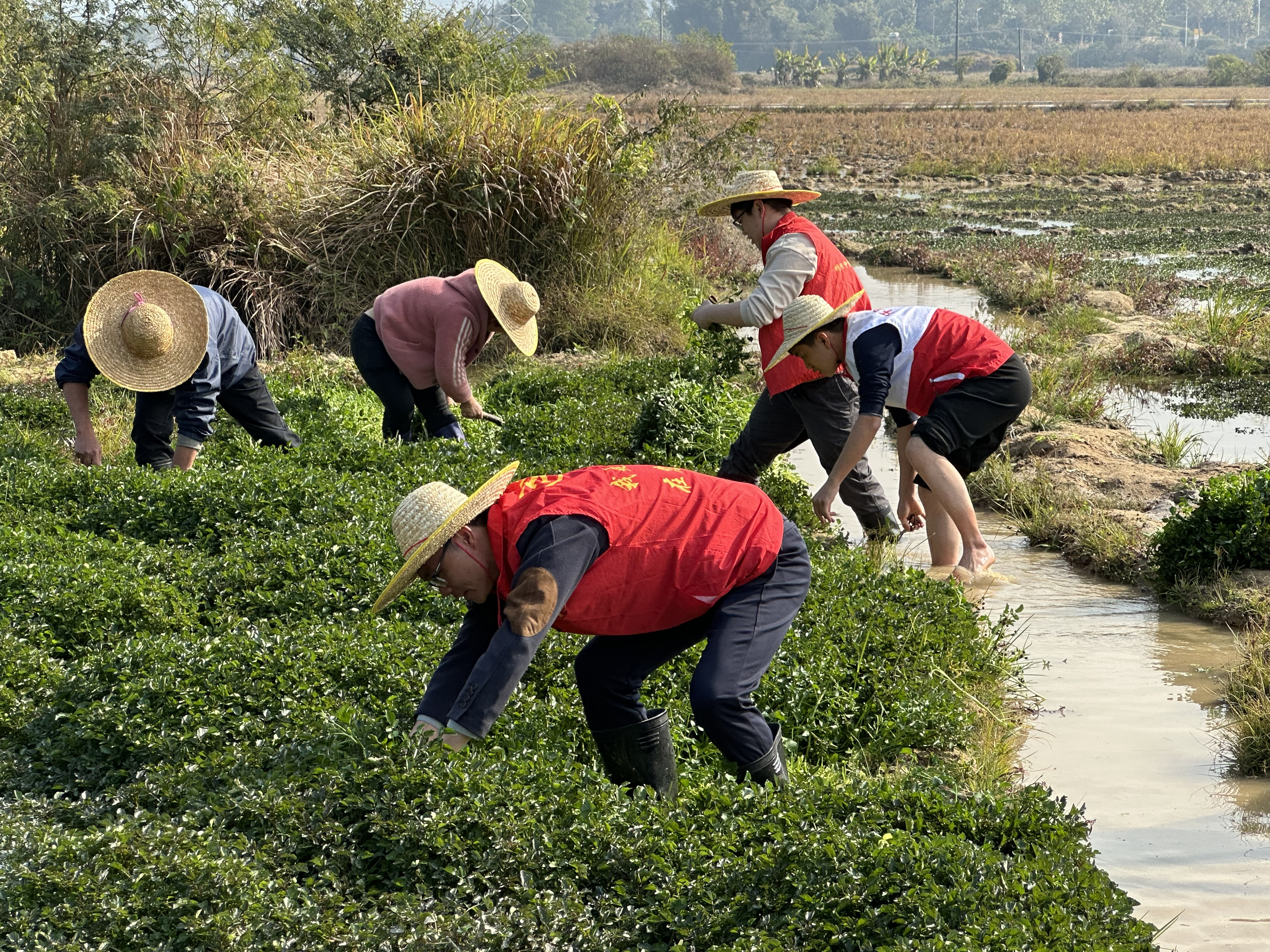 图片7.png