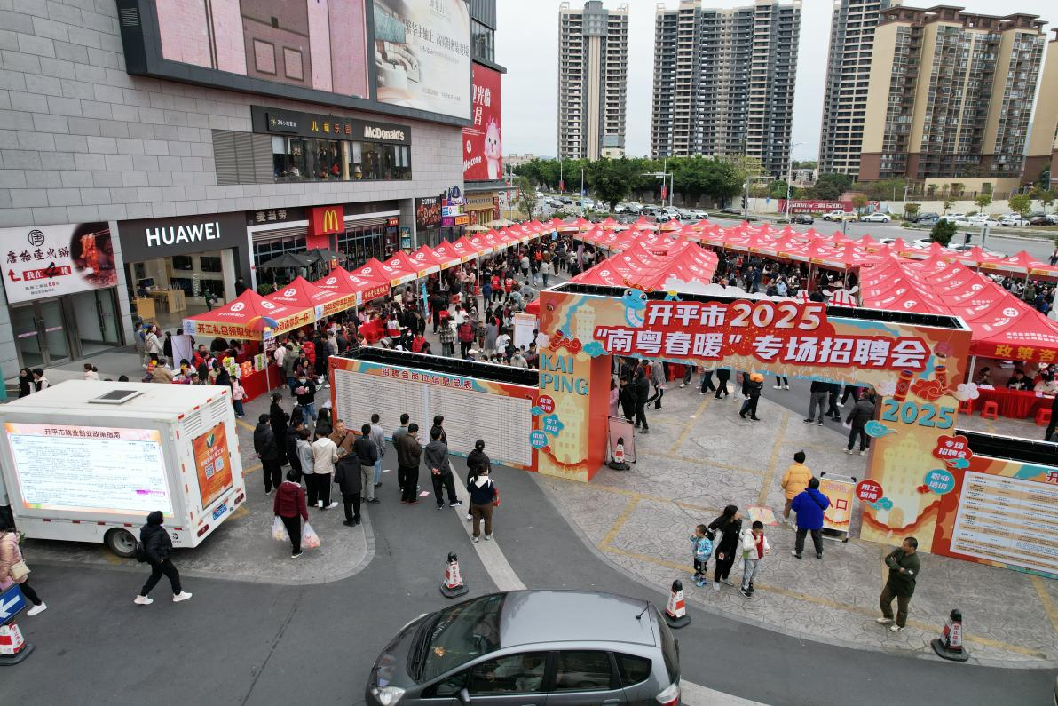 打响蛇年求职战 首招抢占开门红——开平市成功举办2025年首场“南粤春暖”专场招聘会