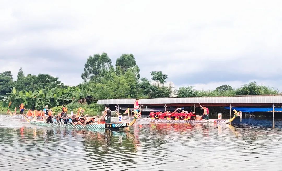 乘风破浪正当时！开平水口这场龙舟赛激情上演