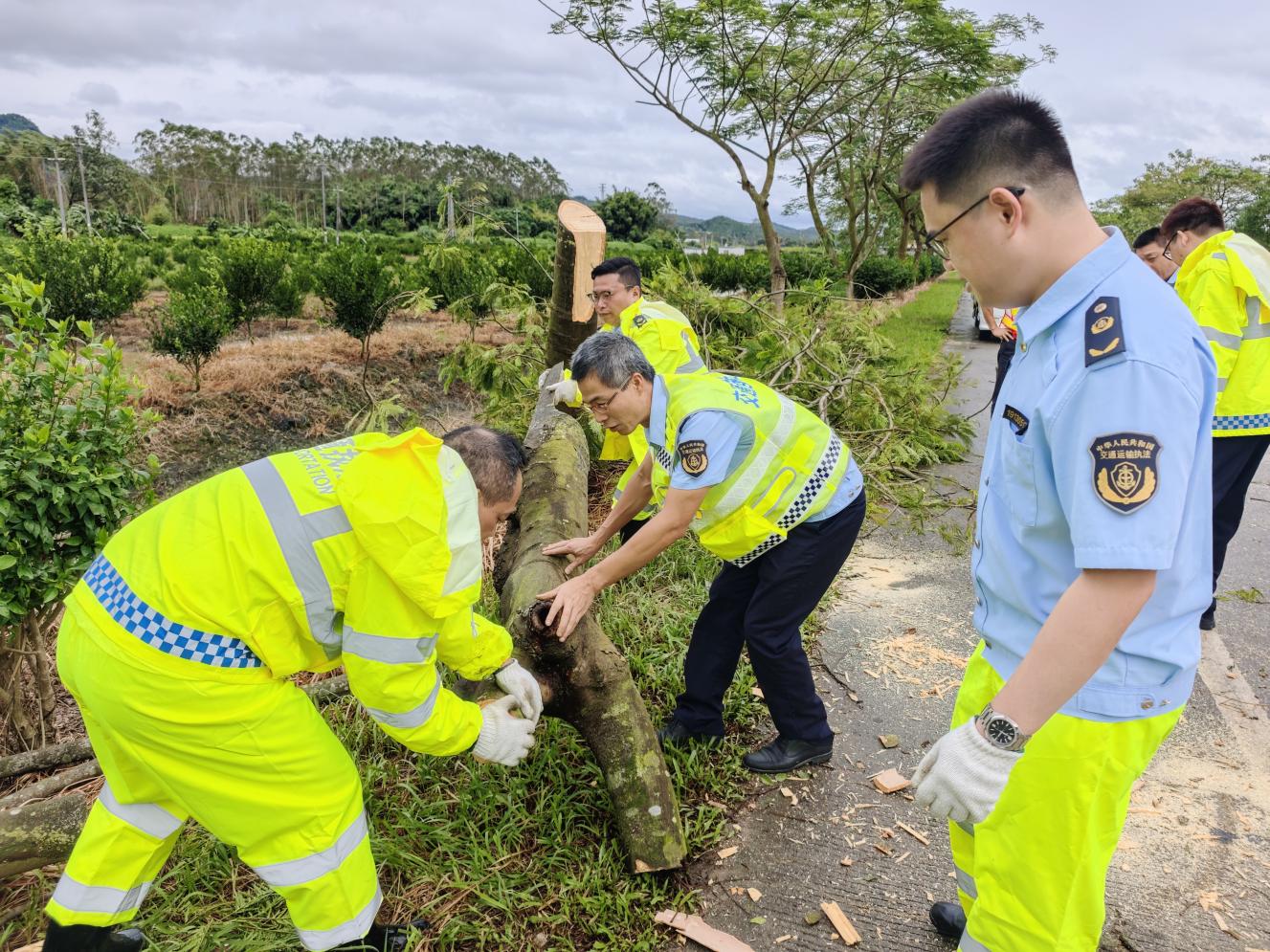 【风雨中·见交通】市交通运输局全力防御台风“塔巴”  筑牢交通运输安全防线