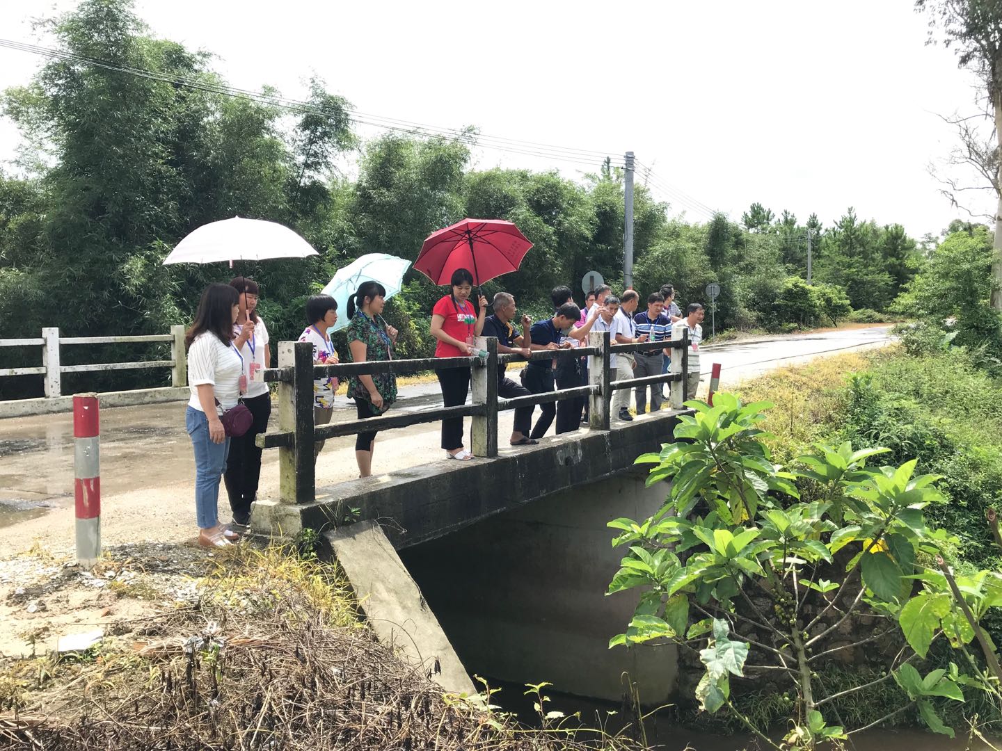4代表巡河（红光水山桥）.jpg